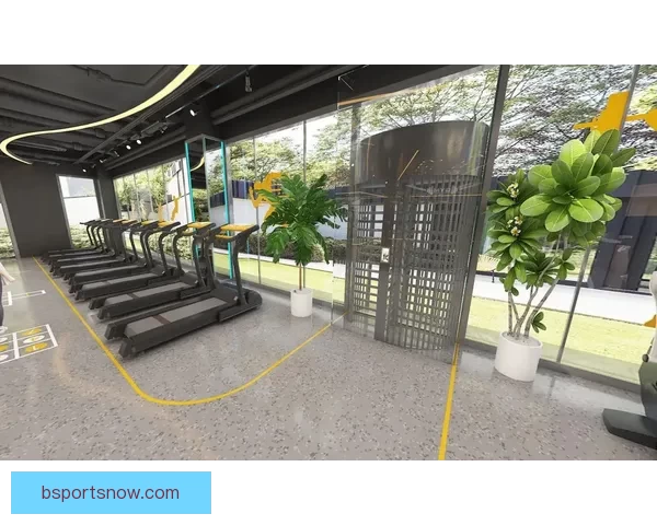 B体育客户端全新升级打造智能赛事体验与实时互动娱乐平台